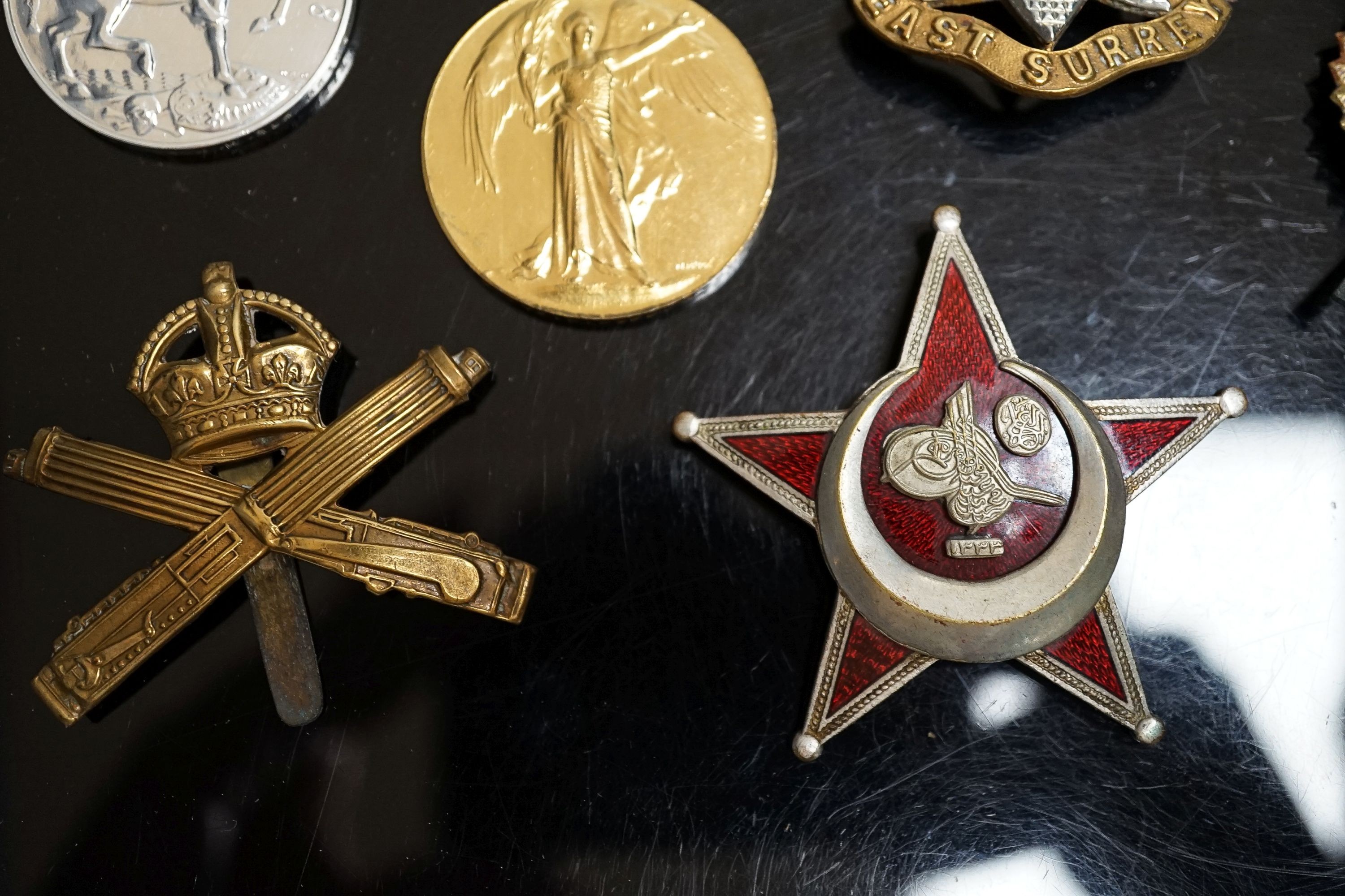 A WWI pair to 23125 PTE. H. ROFE E.SUR. R., together with an East Surrey Regiment cap badge, two other cap badges and a Gallipoli star